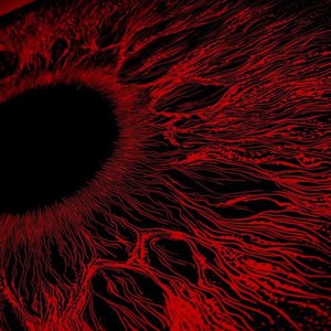 大美女🐻100%露出奶头视频
